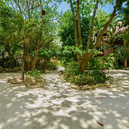 Xanadu Island Resort