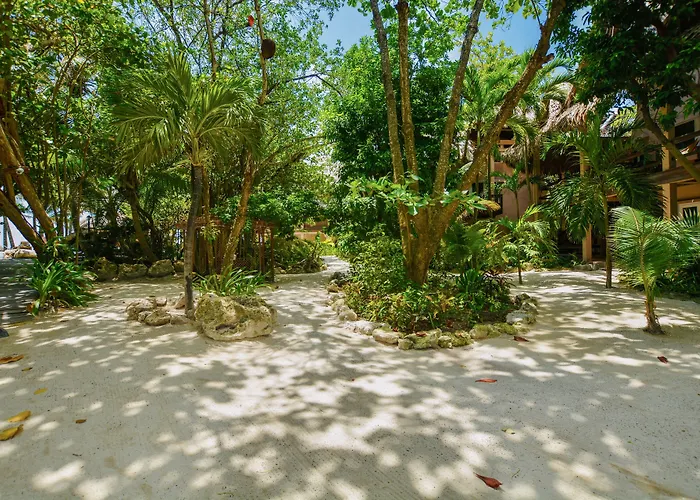 Xanadu Island Hotel San Pedro (Ambergris Caye)